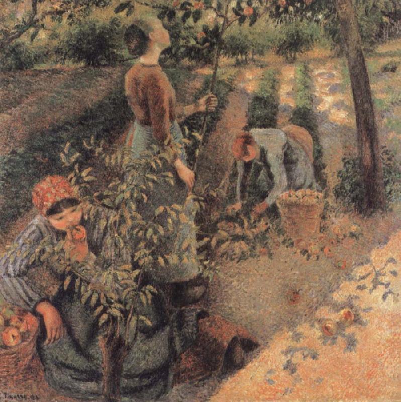 Camille Pissarro The Apple Pickers